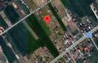 Vand teren Ciofliceni Snagov - 5