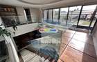 PENTHOUSE 5 CAMERE -426 MP DE LUX HERASTRAU VEDERE LIBERA - 1