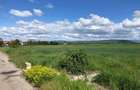 Teren extravilan de 100000 mp, în Lipănești - 5