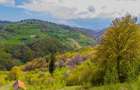 Teren agricol intravilan de 11342 mp, în Poiana Mărului - 11