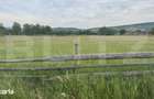 1100 mp de teren intravilan in Livezile, perfect pentru constructie - 2