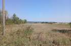 Teren comuna Cateasca, Lunca Argesului (langa balastiera) 9000mp - 1