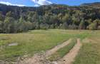 Teren agricol de 9000 mp, în Babarunca - 2