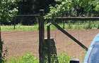 Teren 16000 negociabil - 2