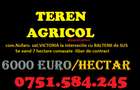 Teren AGRICOL categoria A- com Nufaru sat Victoria - 10