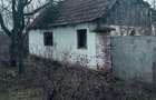 Casa de vanzare rapsig arad - 2