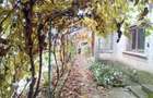Casa + 1700 m teren in Vitane?ti, Teleorman 30.000 (negociabil) - 8