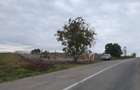Teren de 4500 mp, în Crâng - 7