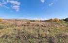 Teren intravilan, 400 mp, zona Plantelor, Piatra Neamt - 1