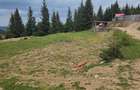 Teren intravilan 750 mp, zona montana, cu utilitati ideal casa de vacanta - 8