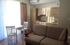 Inchiriere apartament 2 camere, de lux, zona Piata Mihai Viteazu - 14