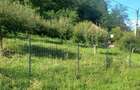 Teren intravilan Sat Voia Com. Balsa 7000mp - 8