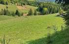 Teren de 3300 mp, în Piatra - 8