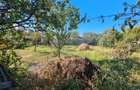 Casa cu 3 camere ?i curte mare, 37000 EUR - 11