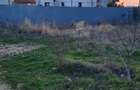 Teren intravilan Str Primaverii Berceni - 3