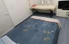 Apartament cu 2 camere în Iosefin - 2