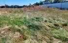 Teren agricol intravilan de 514 mp, în Triaj - 5
