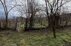 Casa individuala și în stare buna de vânzare în Ohaba - 5