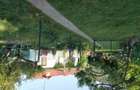 Casa de vanzare in zona Bicaz centru - 2