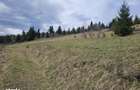 Teren de vanzare in Bucovina Pasul Mestecanis - 8