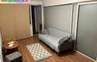 Apartament 2 camere de inchiriat : Central-Cantacuzino (Vasile Lupu) - 6