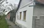 Casă cu Teren 1439 Mp în Bacova - 3