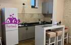 Apartament ultracentral de vanzare sau inchiriere - 11