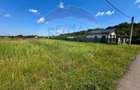 De vanzare Teren intravilan 1000 mp, langa padure, Moara Vlăsiei - 1