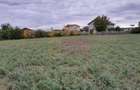 COSERENI( il ) - TEREN 2K MP DE VANZARE (52 M DESCHIDERE ... - 5
