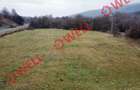 De vânzare teren extravilan de 10.900 metri pătrați în Micfalău. - 3
