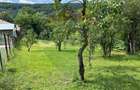 Teren intravilan de 2231 mp, în Telega - 1