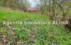 Teren intravilan 1.700 mp + 6.600 mp Padure de foioase + 1.200 mp Padure de foioase, Sat Nojag. - 2