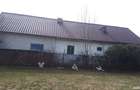 Gospodarie completa compusa din 4.000mp teren, casa,anexe,livada,vita de vie in com.Corbu, jud.Olt - 2
