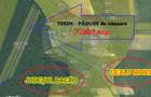Padure de vanzare 7.000 mp, Dealu Morii, jud. Bacau - 5