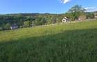 Teren de vanzare intre Borsa si Moisei Maramures! - 2