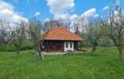 Casă cu 7 camere cu Teren 20855 Mp în Curtea de Argeș - 2