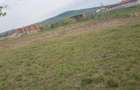 Vand teren in Rontau jude?u Bihor 1.000mp - 4