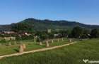 Teren 10304 mp cu casa locuibila! In Bucovina, Zona M... - 8