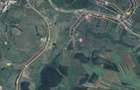 Teren de vanzare 2900 mp, Mera Noua (zona Cluj) - Elado telek 2900 m, Mera Noua - 1