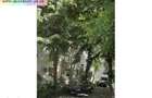 Apartament 2 camere de inchiriat:Ultracentral(Catedrala),et.1,centrala - 18