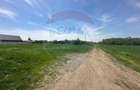 Teren 545,000mp Dragomiresti-Vale