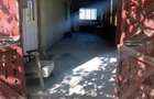 Vand urgent 21.000 euro - 10