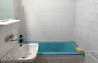Inchiriere apartament Popa Sapca - 5