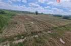 Teren intravilan de 743 mp in Mosnita Veche - 1