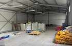Spatiu comercial 280 mp + 700 mp curte, Filiasi - 2