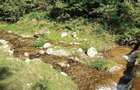 Teren de cabana pe Valea Recii( sat Strungari) - 1