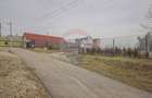 Casă individuală cu 6 camere cu Canalizare în Crizbav - 11