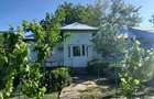 Casă cu 4 camere în Măgurele - 1