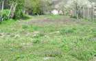 Casa de vanzare Sat Craiesti , Adamus - 7