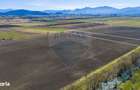 Teren 10,000mp Bod / Strada Brasovului/ Comision 0% - 6